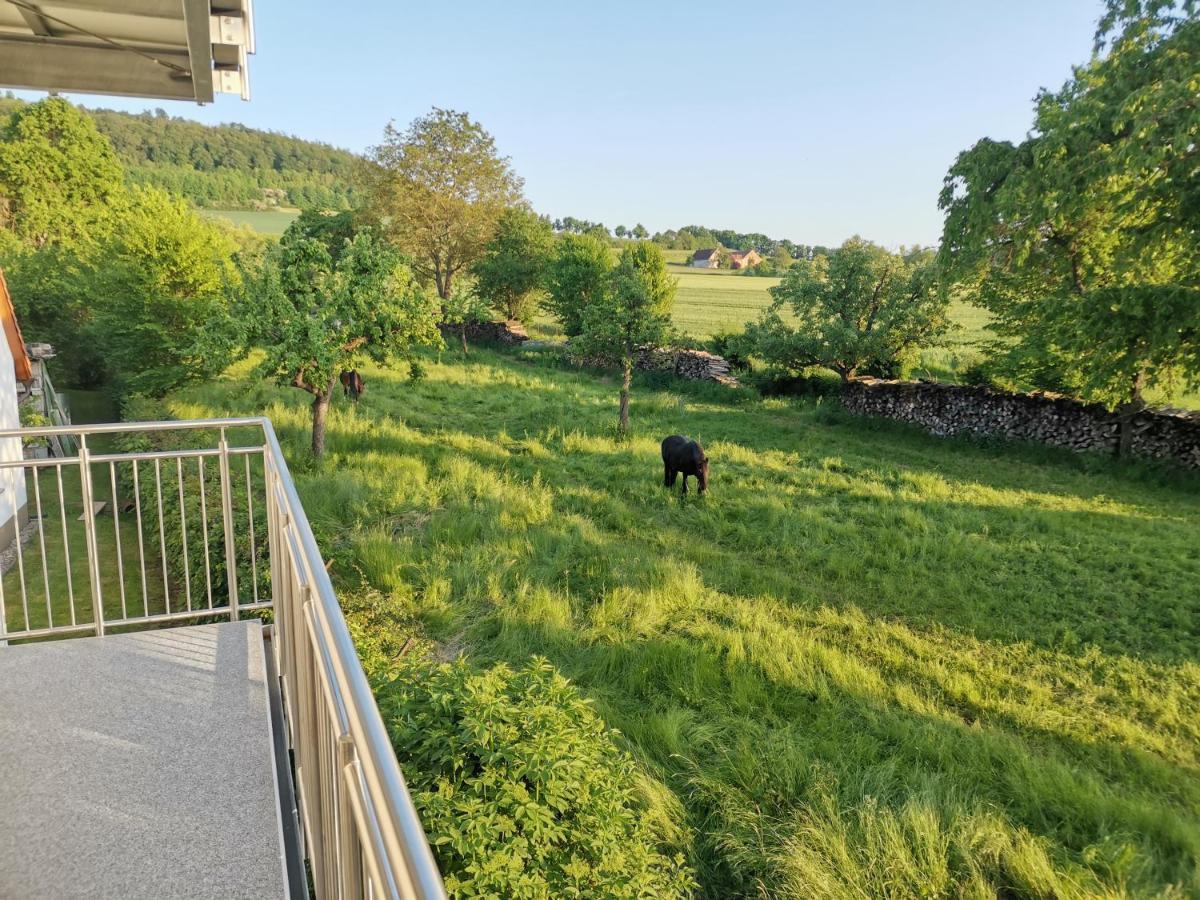 Ferienwohnung Meyer Weißenburg in Bayern المظهر الخارجي الصورة